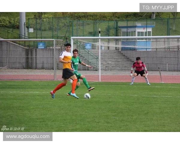 斗球体育直播下载操作指南,轻松掌握直播观看技巧 斗球体育直播下载操作指南,轻松掌握直播观看技巧