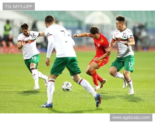 斗球直播app电脑版下载地址免费资源,快速获取高清足球直播内容