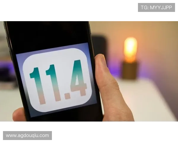 如何在苹果设备上顺利下载安装斗球苹果版游戏完整步骤解析