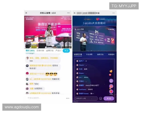 比较不同斗球直播网站的功能特色，帮助用户找到最符合需求的平台