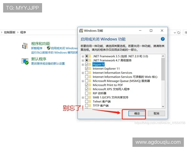 如何正确下载安装斗球电脑版，避免常见错误和安装失败问题